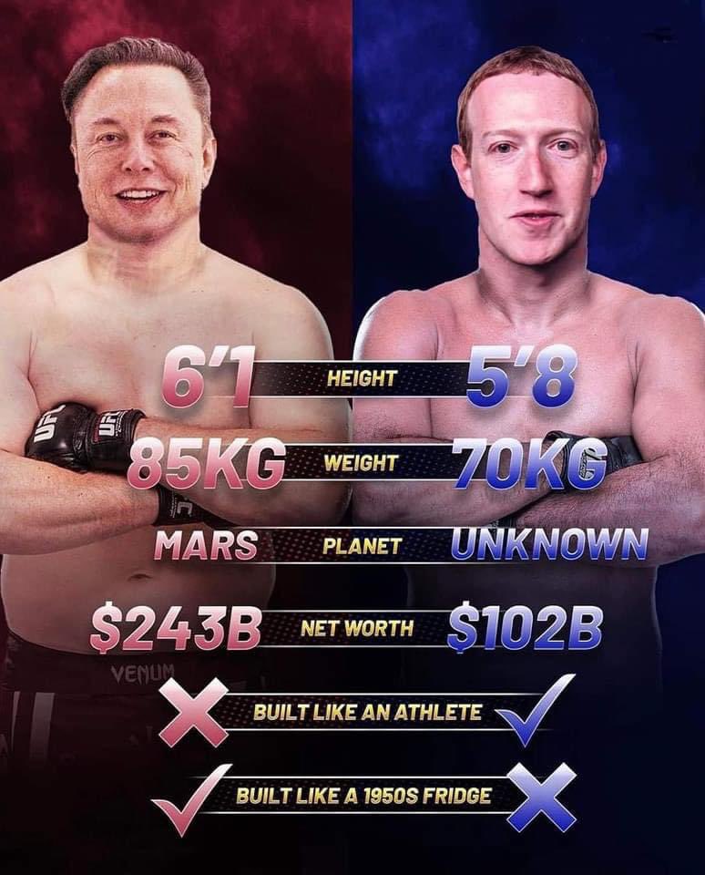 #Elon vs #MARK #ufc