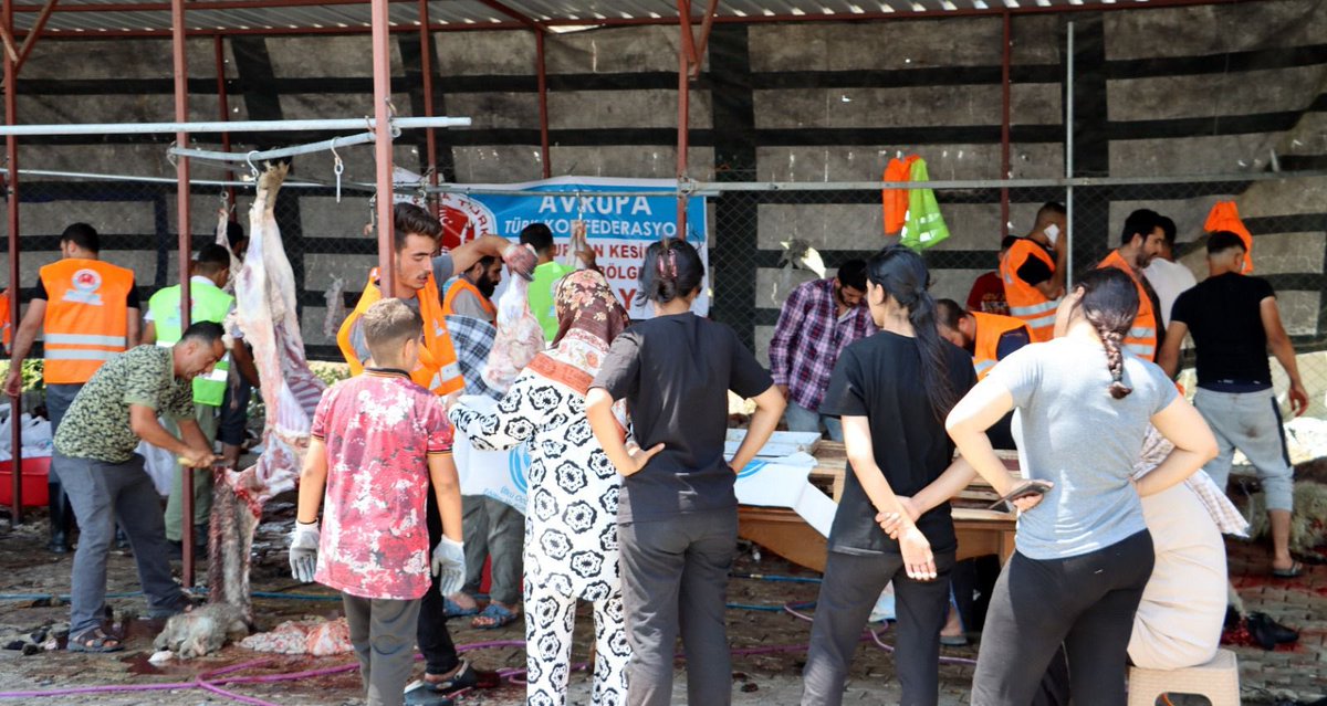 Ulku_Ocaklari's tweet photo. 📍 Hatay

Ülkü Ocakları ve Avrupa Türk 
Konfederasyonu üzerinden bağışlanan kurbanların kesimleri #Hatay’da tamamlanarak Kurban Bayramımızın birinci ve ikinci günü olmak üzere dağıtımları gerçekleştirildi. https://t.co/x3X2BpqMeL