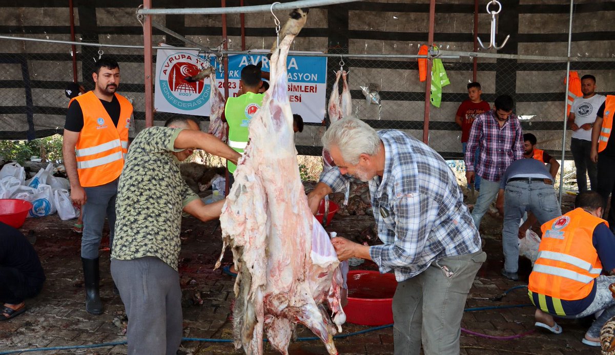 Ulku_Ocaklari's tweet photo. 📍 Hatay

Ülkü Ocakları ve Avrupa Türk 
Konfederasyonu üzerinden bağışlanan kurbanların kesimleri #Hatay’da tamamlanarak Kurban Bayramımızın birinci ve ikinci günü olmak üzere dağıtımları gerçekleştirildi. https://t.co/x3X2BpqMeL