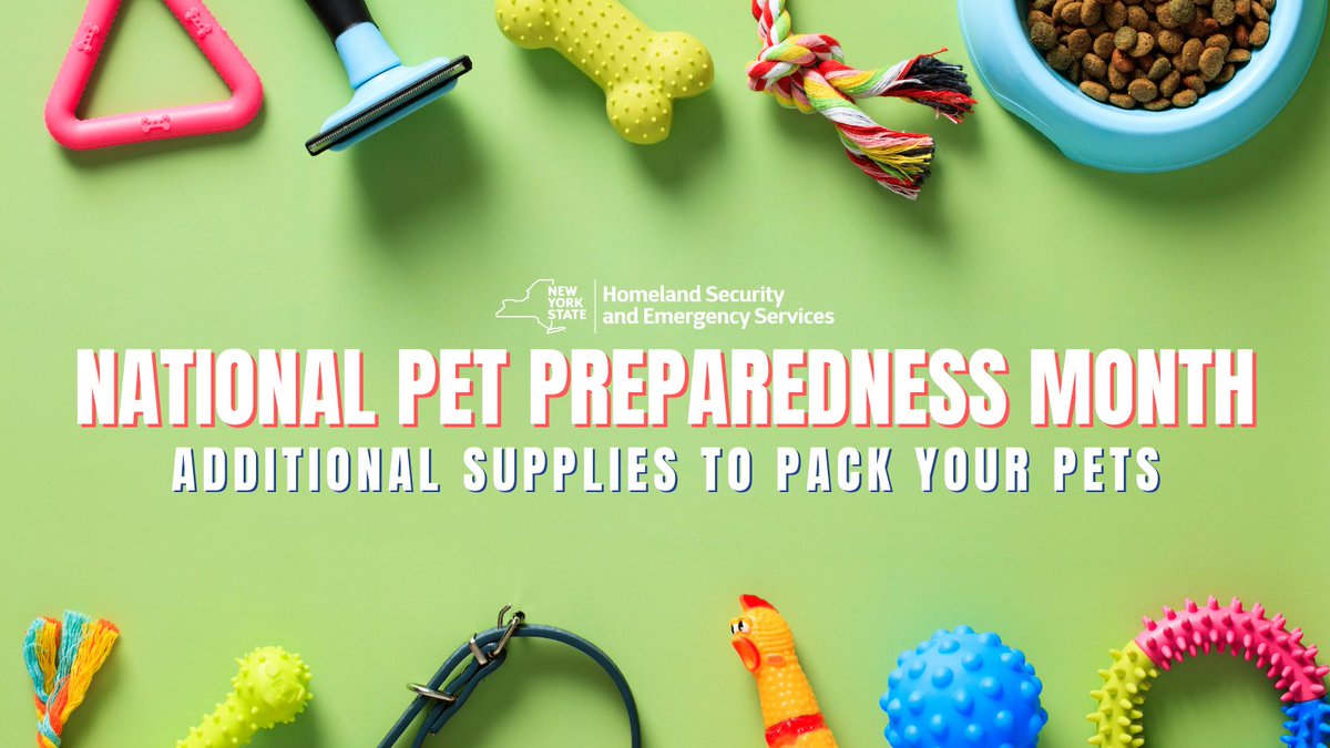 NYSDHSES's tweet photo. Don’t know what to pack for your pet in case of an emergency? We’ve got you covered!

🐕 Leash, blanket, yard stake, toys &amp; newspaper
🐈 Pillowcase, leash, blanket, toys &amp; litter pans
🐦 Catch net, towel, cuttlebone, sheet &amp; newspape
🦎 Pillowcase, warming device &amp; soaking dish https://t.co/ez2hm4asRo