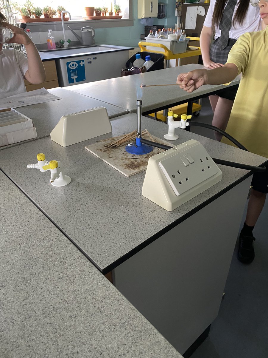 Mrs Gray 👩🏼‍🔬 tweet media