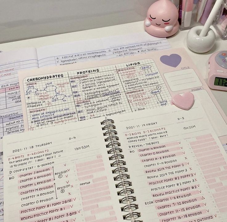 malaastudies's tweet photo. hallow! I new in #studytwt, and I lookin' some friends! 👩🏻‍🤝‍👩🏼 let's goo be moots🏃🏻‍♀️🏃🏻‍♀️

abt me: 
- ofc my name is alma
- she/they, isfj — 08L
- 9th grade
- like a chocolate and music (nct, taylor swift, wave to earth) 

( #studyacc #AMBISVERSE ) https://t.co/xoBeGhFSEr