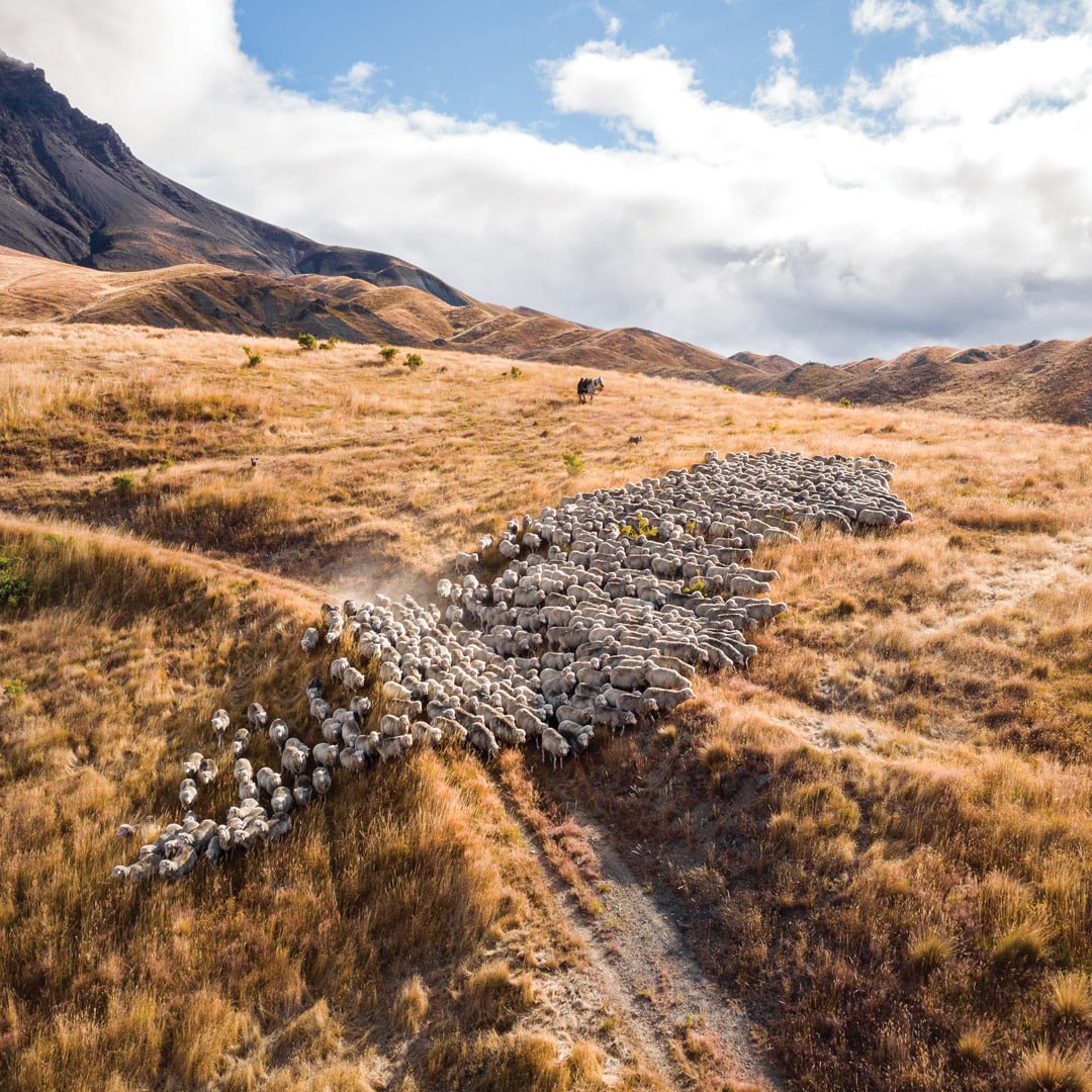 Instead of being outraged by what others are doing and saying right now, why not focus on what you could be doing right now instead? Time is fleeting, and most of you are just wasting it by allowing your emotions to be manipulated. Snap out of it, do something in the real world!