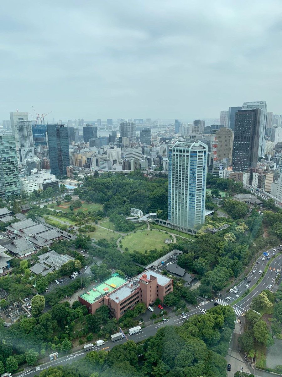 rubycalime84's tweet image. Come back soon and say goodbye to cherry blossom season #Tokyo Tower Japan