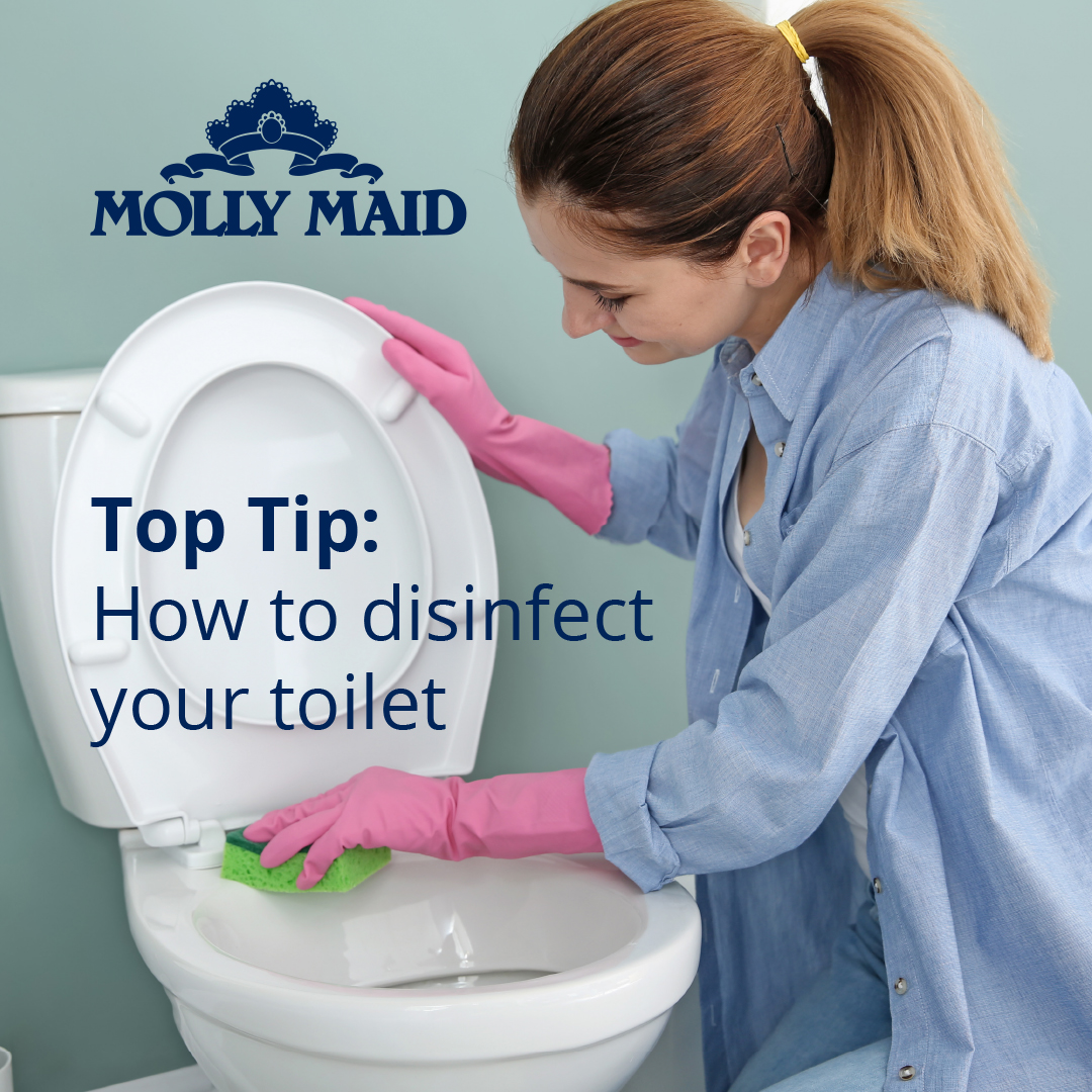 MOLLY MAID UK (@mollymaidinuk) on Twitter photo Quick toilet #CleaningTip
⏲️ Apply a toilet cleaner & let it sit for 5 mins
🚽Scrub with a toilet brush.
🧼Wipe down with disinfectent.
✨Apply a 2nd layer of disinfectant & allow it to air-dry.
For more weekly cleaning tips and tricks, make sure to follow <a href="/MOLLYMAIDinUK/">MOLLY MAID UK</a> Quick toilet #CleaningTip
⏲️ Apply a toilet cleaner & let it sit for 5 mins
🚽Scrub with a toilet brush.
🧼Wipe down with disinfectent.
✨Apply a 2nd layer of disinfectant & allow it to air-dry.
For more weekly cleaning tips and tricks, make sure to follow <a href="/MOLLYMAIDinUK/">MOLLY MAID UK</a>
