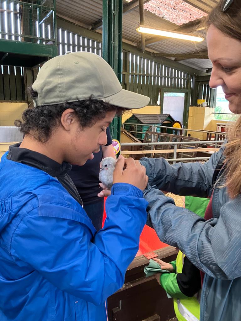 Stormont House tweet media