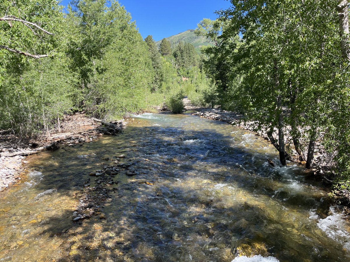 Good morning from Wildflower Ranch Colorado #wildflowerranchcolorado #durangocolorado #themansiontheranch #colorado #thecoachrelocator #ericroark #flyfishing #mountainproperty #ranch #luxury #horseproperty #hiking #camping #mountainbike #nationalforest #conservationeasement