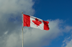 Susan Chambers tweet media