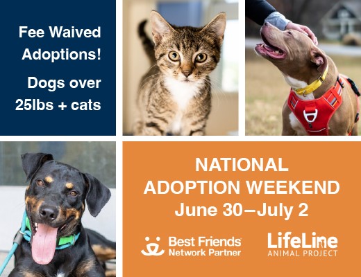 LifeLine Animal Project will have fee waived adoptions on June 30th - July 2nd, thanks to Best Friends Animal Society. What better way to celebrate National Adoption weekend? 🐶🐱🧡

#dekalbcounty #commissioner #LifeLineAnimalProject #feewaivedadoption