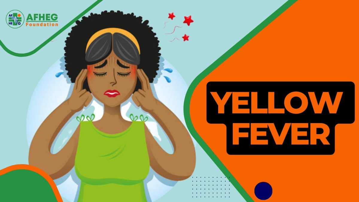 Learn about the causes, symptoms, prevention, and treatment of #YellowFever in this #AFHEG health education video series.

Stay informed and protect yourself against this mosquito-borne disease.

🔗 Watch now: youtu.be/UFJJmvVMCgE