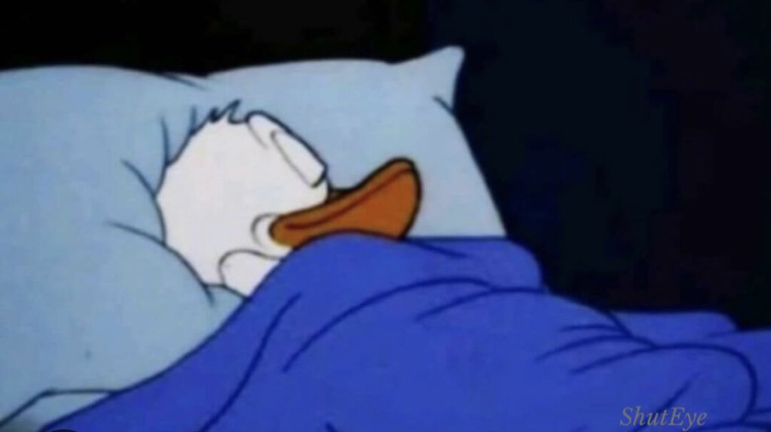 How I sleep at night knowing I’ve never once enjoyed a Colleen Ballinger video