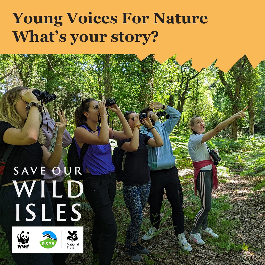 Do you know a young person aged 13 - 25 who is passionate about nature?

📽️We have an incredible opportunity to join a youth-led film making initiative, established by RSPB, WWF and the National Trust as part of our #SaveOurWildIsles Campaign!

👉bit.ly/youngvoicesfor…
