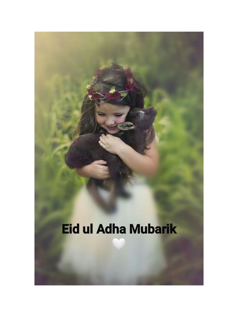 NeelamMaryam's tweet photo. Eid ul Adha Mubarik 🐑

May Allah Accept ( This Worship ) From Us And From you...💝 https://t.co/D789WyWqro