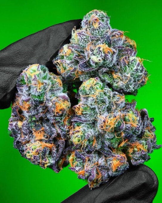 Name this? Get 2g

#Mmemberville #CannabisCommunity #cannabisculture