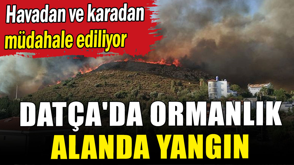 Datça'da ormanlık alanda yangın
kamusonhaber.com.tr/datcada-ormanl…

Semizotu #deprem Louis Vuitton Haram İzmir 2 Mason Mount Elif Chelsea #ÖğretmenincanısizeemanetRTE