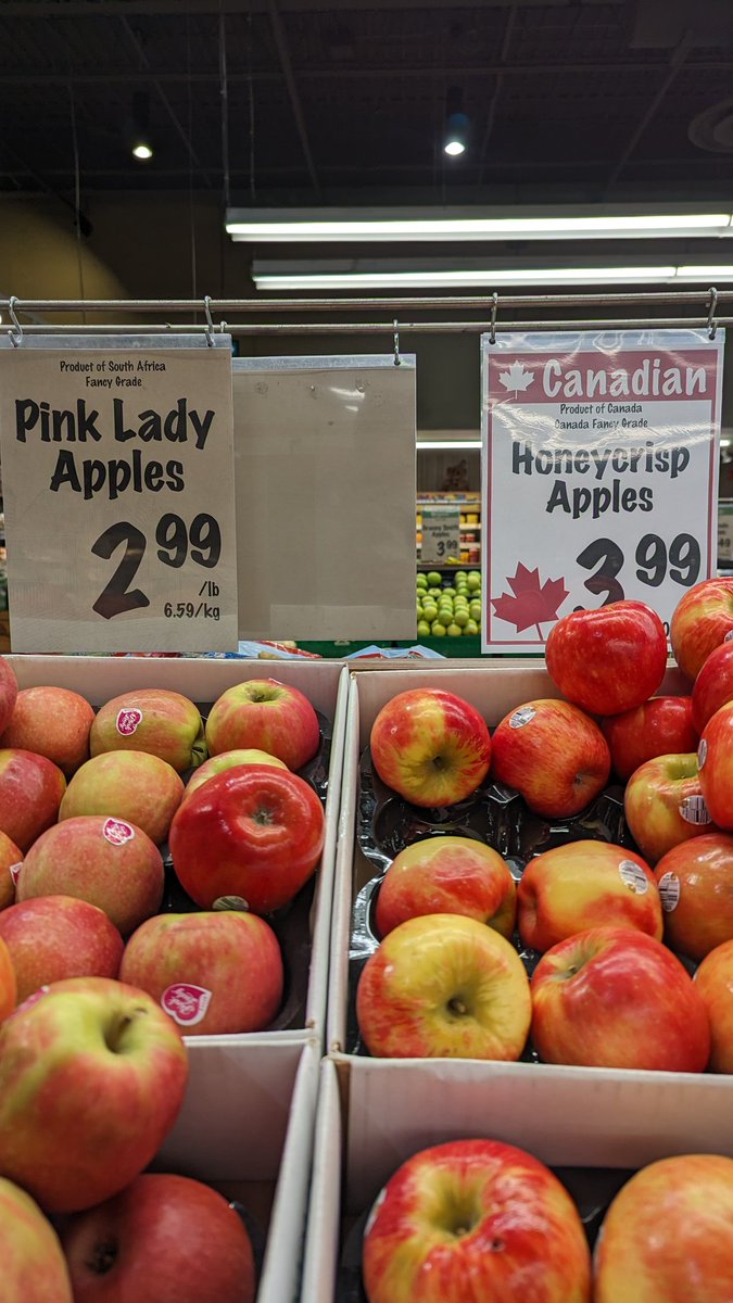 VinitIsWhatYouNeed tweet media