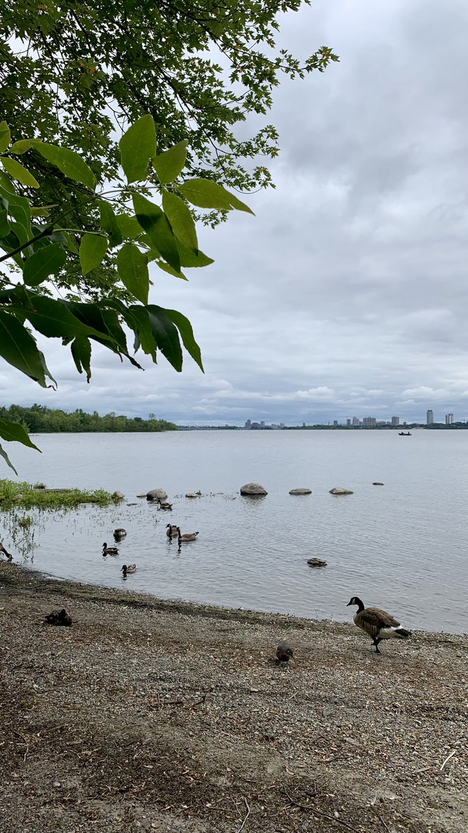 ernie_qs's tweet photo. 🚴🏼‍♂️Vélo du matin. 

#Bike #Cycling #LoveCycling  #Cyclist #CyclingPics #Vélo #VéloDeRoute #Cycliste #VéloQuébec #GatineauVélo #VéloGatineau #Bicicleta #Bici #EnBici #Canada #Québec #LGBT #LGBTQI #GayCanada #GayQuebec #GayGatineau #GayMen #GayGuy #GayMenOver40 #GayAt50 #Gay https://t.co/VtBZKNIBDt