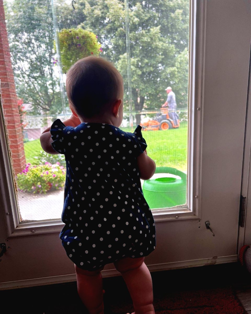 truscapepa's tweet image. "Caught in a moment of wonder! 🌱 This  little one is absolutely fascinated by the artistry of the lawn care crew. Who knew mowing could be so mesmerizing? #LawnCareMagic #LittleObserver"