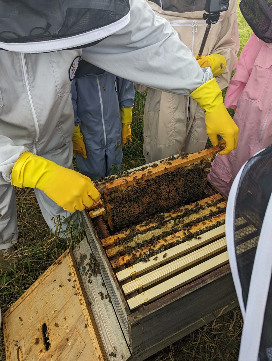 Lots of busy bees at Bury today!