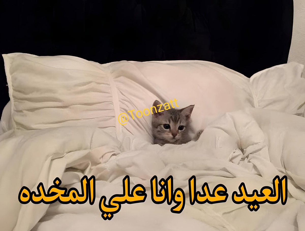 حرفياً: