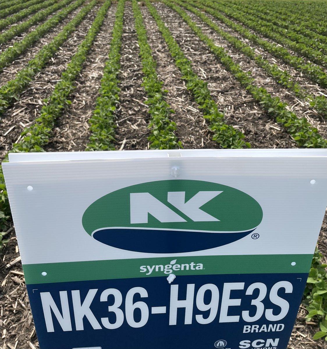 Luke Rivir tweet media