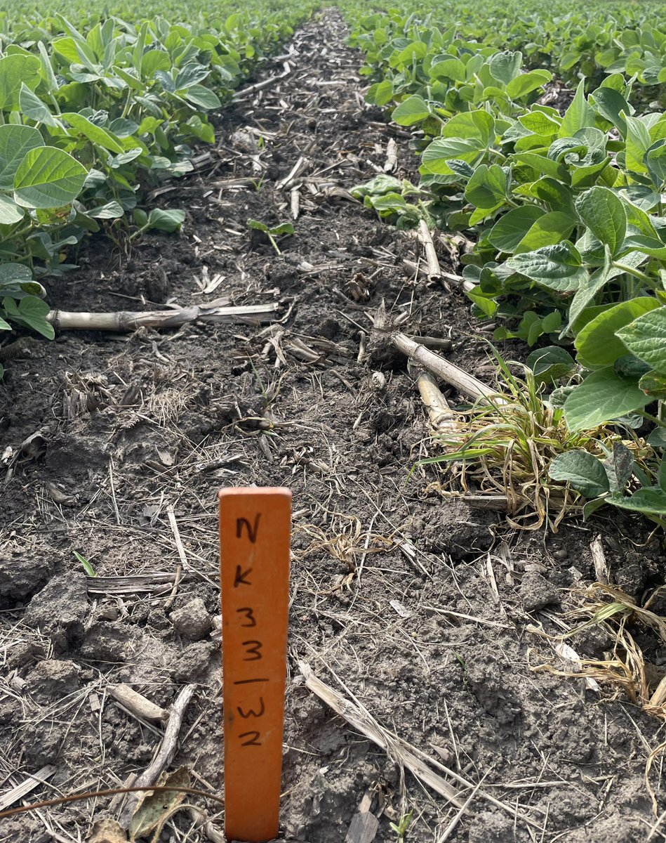 Luke Rivir tweet media