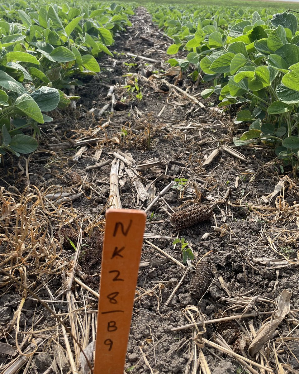 Luke Rivir tweet media