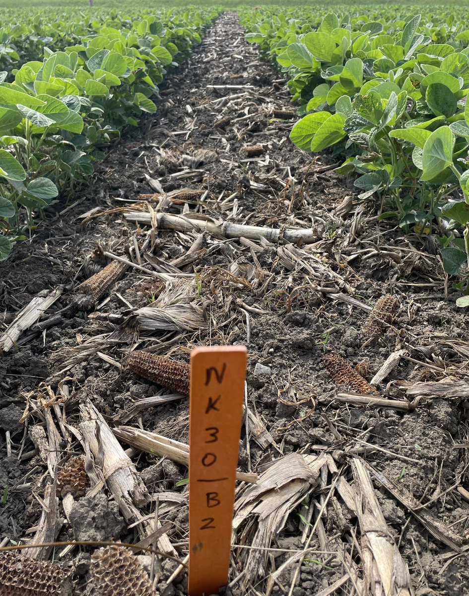 Luke Rivir tweet media