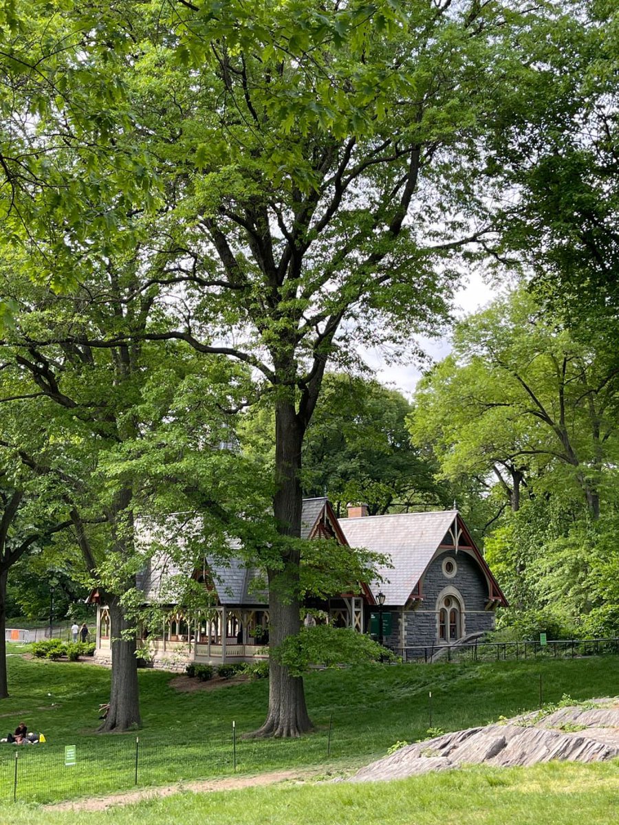 RhexClark's tweet image. good weather! Go to the park with your friends and feed the fish