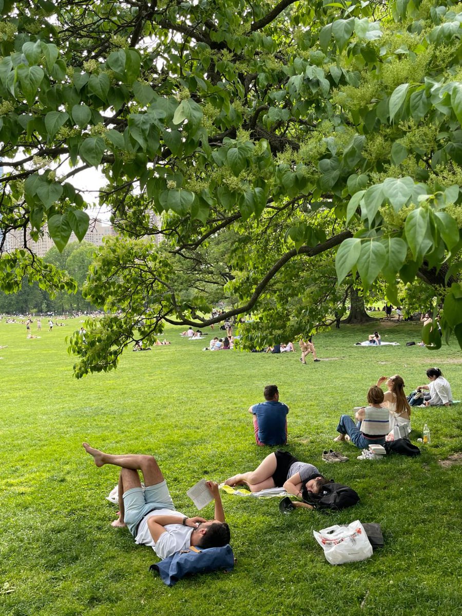 RhexClark's tweet image. good weather! Go to the park with your friends and feed the fish