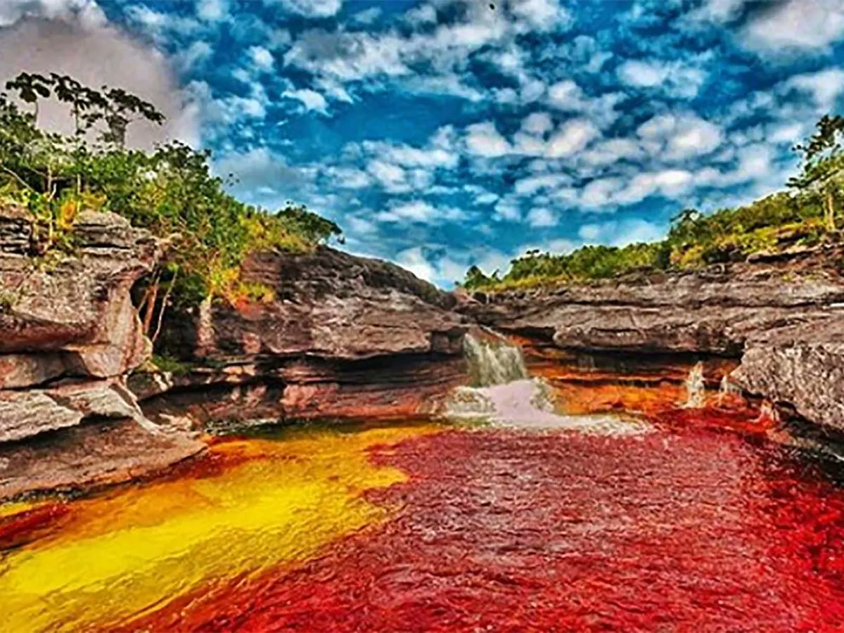 ViajayVuela_MX's tweet photo. Caño Cristales es considerado el río más hermoso del mundo, también conocido como el río de los 5 colores: amarillo, azul, verde, rojo y negro. Se encuentra en el municipio de La Macarena, en Colombia.
#CañoCristales #río5colores #Colombia https://t.co/kwyq7a3Jaa