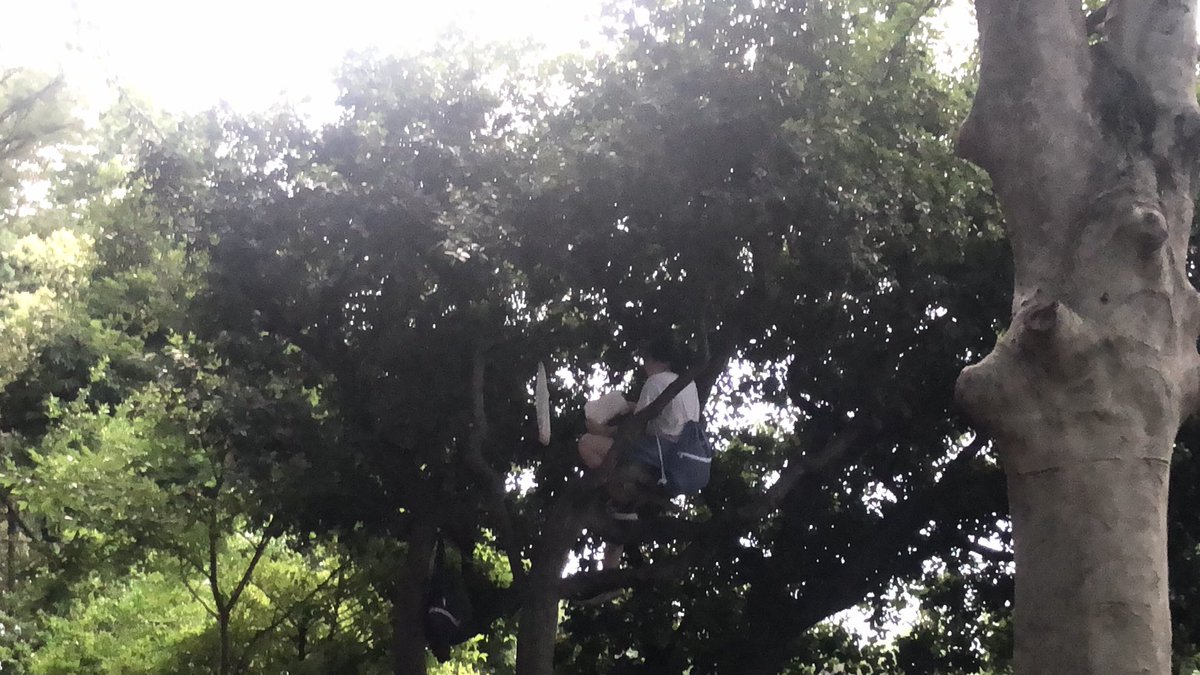 도쿄는 이게 일상이야