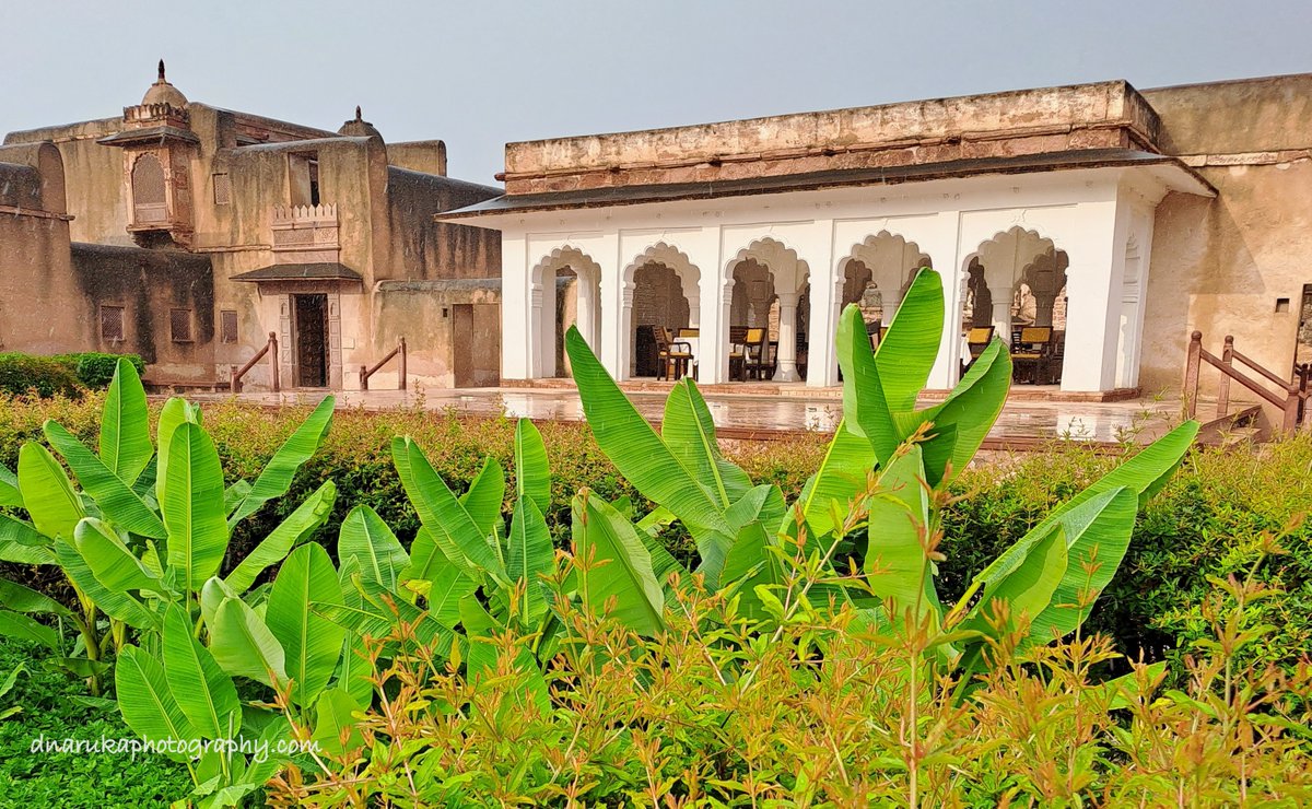 D_RanawatNaruka's tweet photo. A 4th century Fort! A 9 hour road journey. A distance of 500 km. Just another Thursday in #Rajasthan. #Nagaur #roadjourney #history #monuments #architecture #FortsandPalaces #India #ThePhotoHour #womenphotographers #rajasthanpatrika #roadjourneys #lifejourneys #mobilephotography https://t.co/5kzfGAXYlK