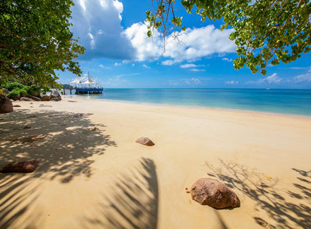 Premier Travel tweet media