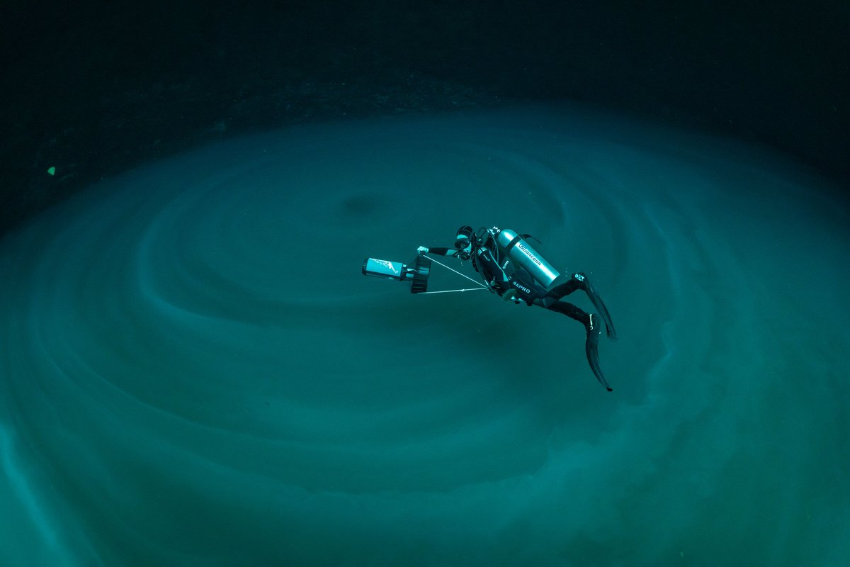 DiveXtras's tweet photo. This shot is so damn cool, I don't even know what to type here 🤯

🤿: @ silviabuccelloni on Instagram
📷: @ valeoceano_liquidjungle &amp; @ liquidjunglemedia on Instagram

#divextras #divex #dpvdiving #techdiving #technicaldiving #scuba #scubadiving #scubadiver #divelife #padi https://t.co/eOl8g1Epo0