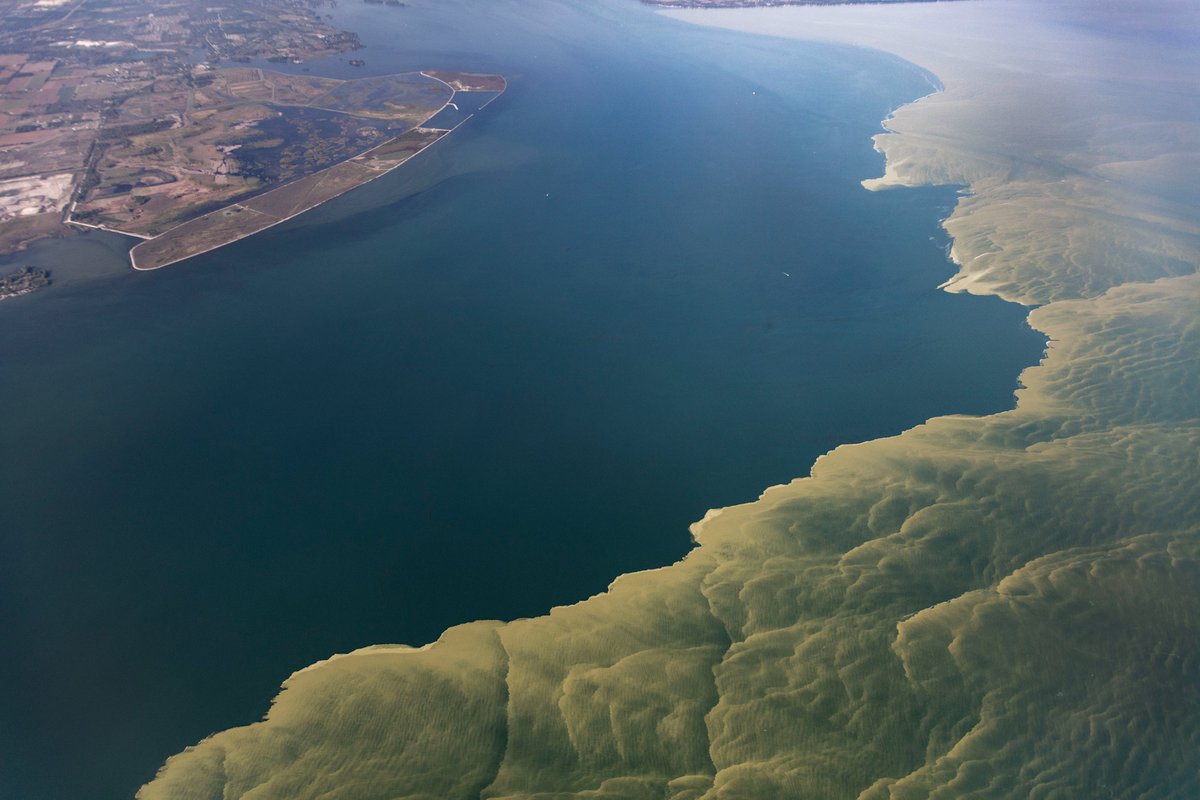 Just in: NOAA is forecasting a smaller-than-average #HarmfulAlgalBloom for western #LakeErie this summer. This year’s bloom is expected to measure 3, with a potential range of 2-4.5 on the severity index — whereas last year’s bloom was measured at a 6.8. noaa.gov/news-release/s…