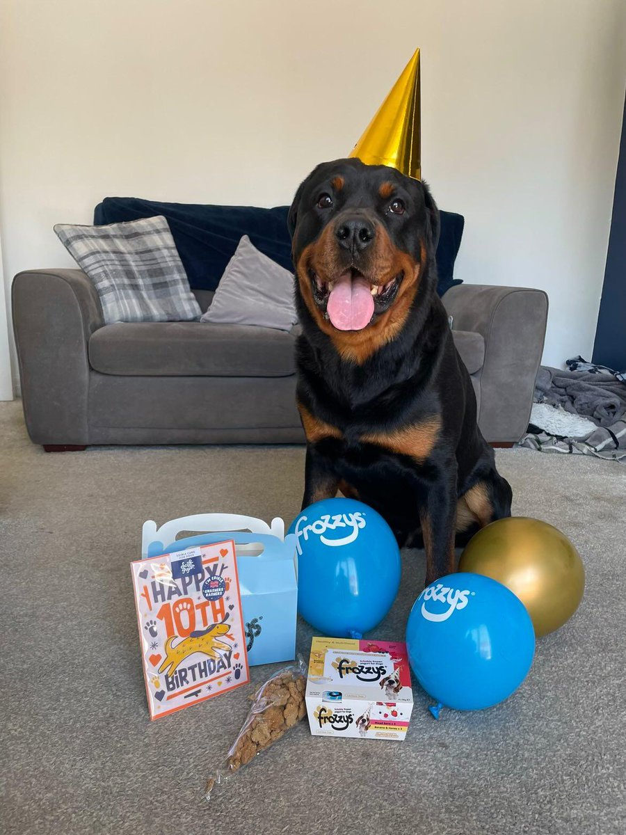 Frozzys for Dogs tweet media