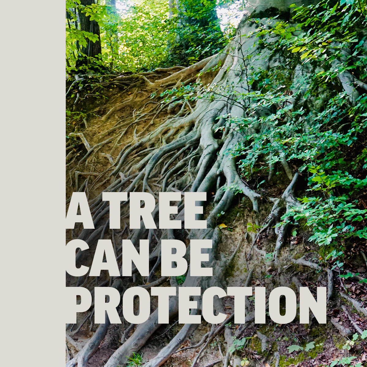 #ATreeCanBe protection, providing solutions and safety for many during storm season. 

Trees can:
🌧 intercept heavy rainfall
💧 absorb stormwater runoff
🌱 mitigate soil erosion
🌍 reduce landslides
💨 work as a wind barrier