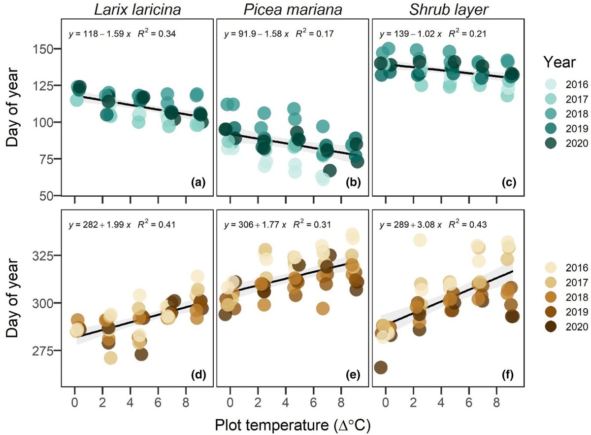 Christina Schaedel tweet media