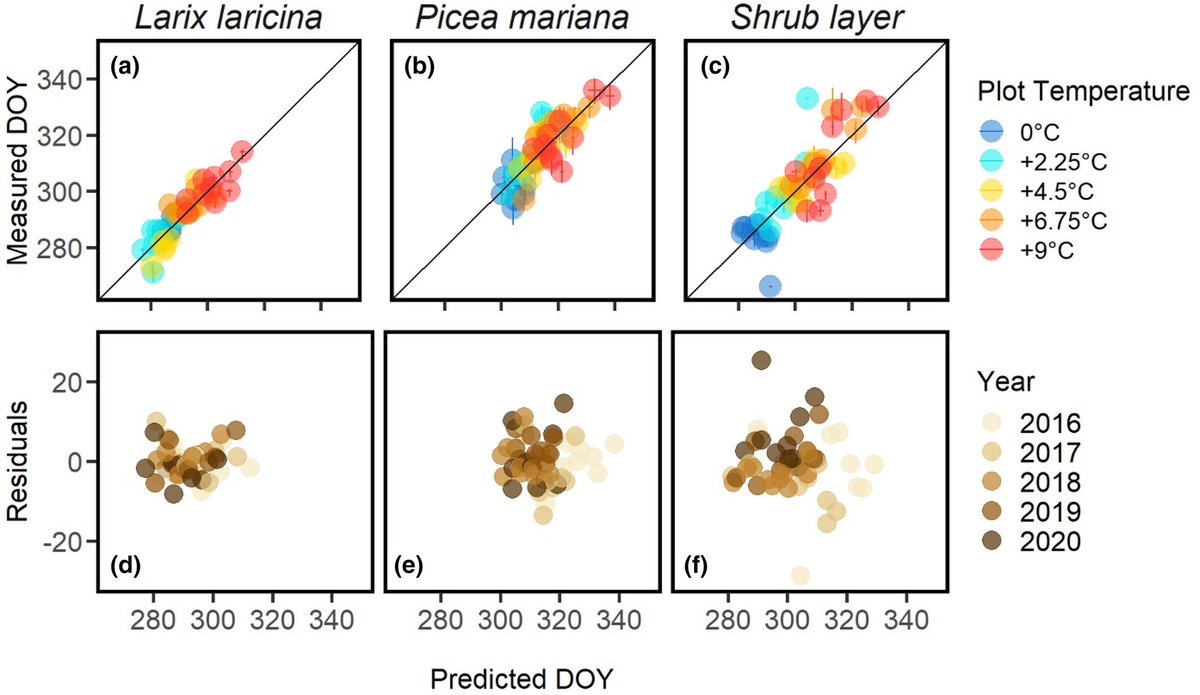Christina Schaedel tweet media