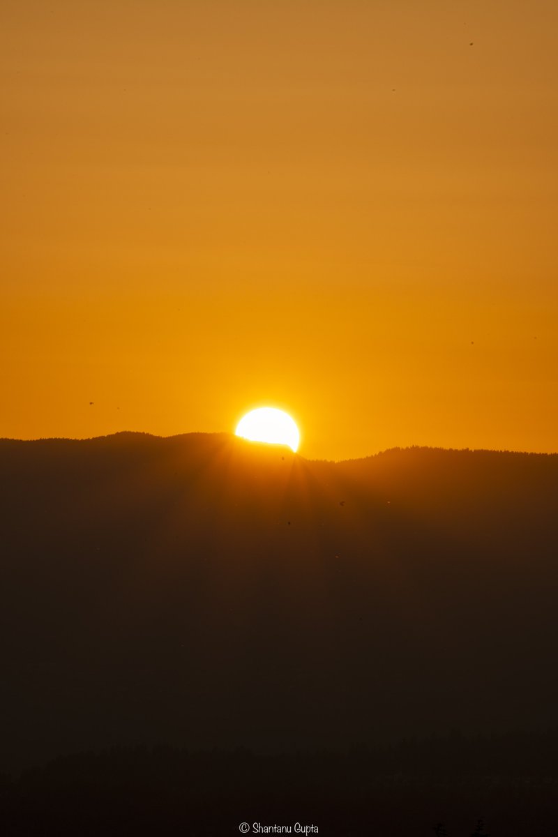 shantanugupta's tweet photo. S U M M E R V I B E S
.
.
.
#sonyalpha #sonya7iv #tamronlens #tamron70300 #goldenhour #sun #burnabymountain #vancouver #canada #earthpix #lensbible #vancityfeature #narcity #dailyhivevan https://t.co/F9a0DjRaDU