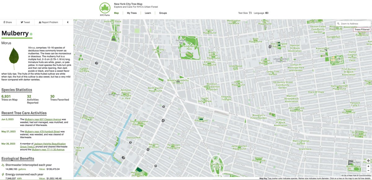 Peki nasıl mesela? Bu tivit sayesinde New York'un ağaç haritasını da hatırlatayım. Bu metropoldeki 800,000+ ağacın hepsi tek tek işaretlenmiş. Buna göre de 7000'e yakın dut ağacı var. İşin güzel kısmı böyle durumları raporlamak için bir sistemleri var.