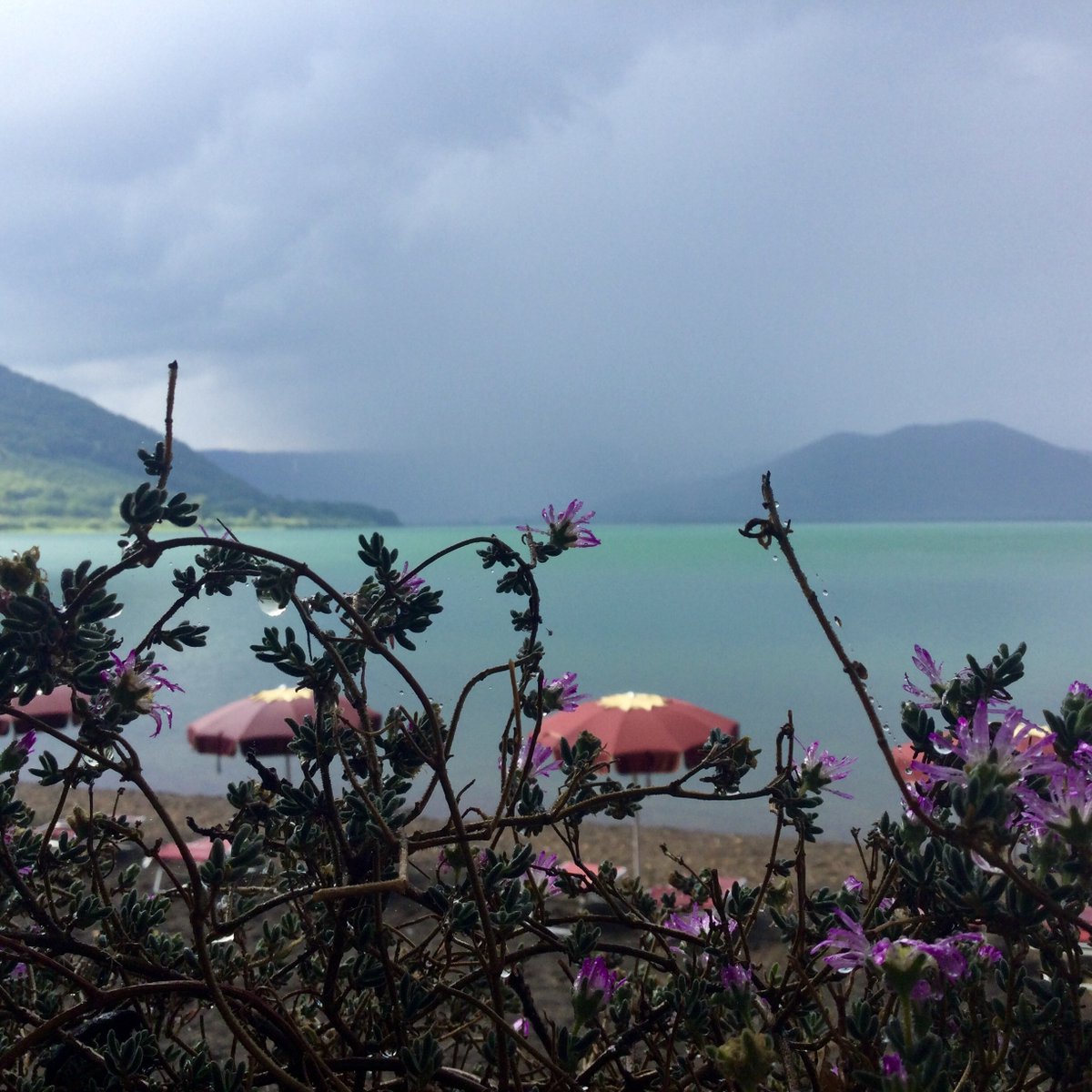 Lake Vico today after the thunderstorm...