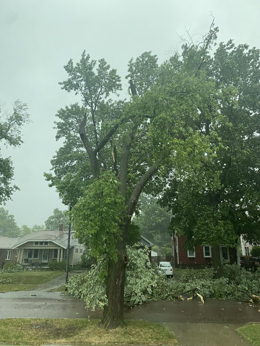 KeenanIrish's tweet photo. What’s left of my tree on state street @WCIA3 @wandtvnews https://t.co/LL8kiWmx8s