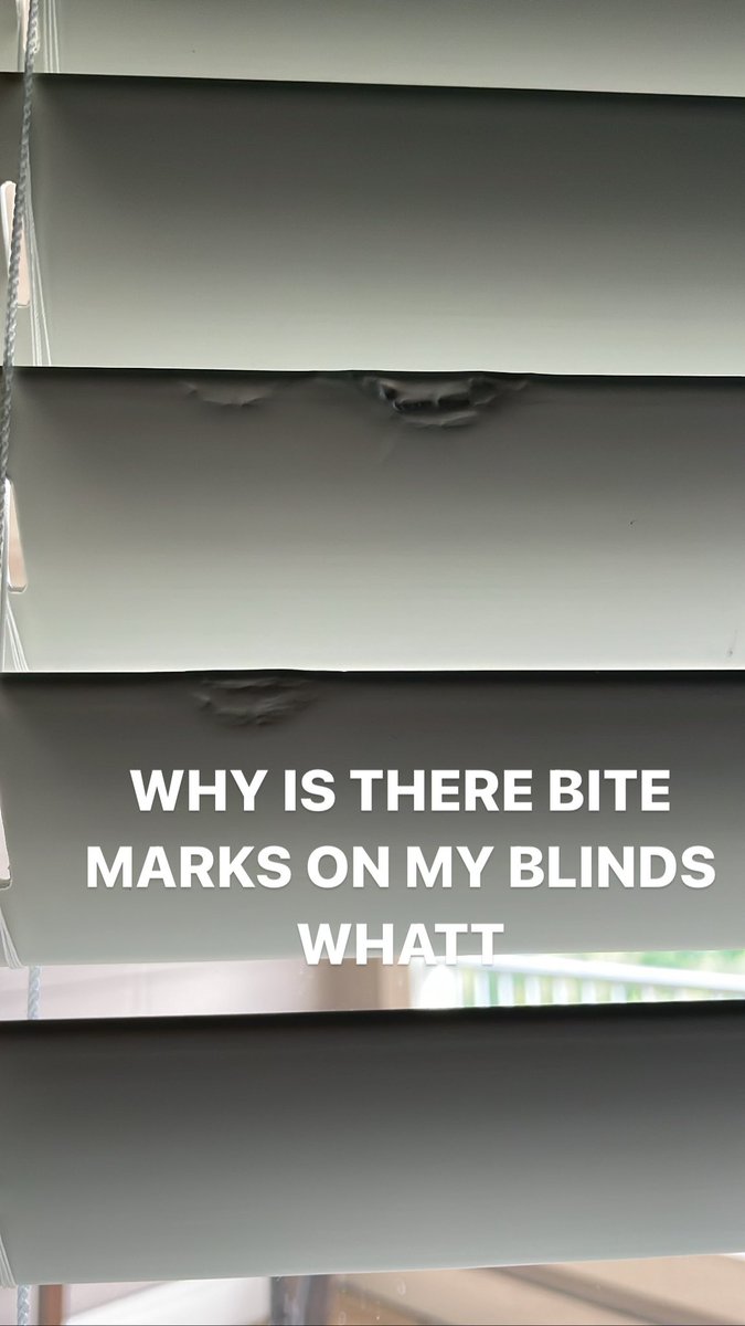 WHY IS THERE BITE MARKS ON MY BLINDS