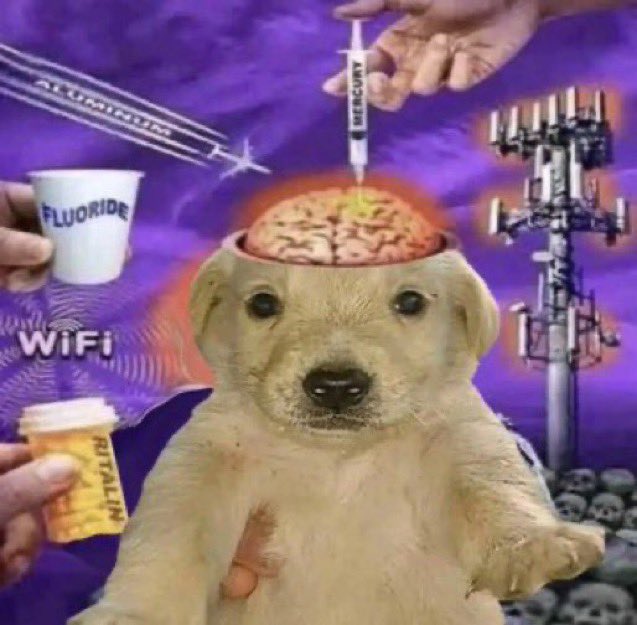 coworker: "do you have any long weekend plans"
me: no
my long weekend plans: