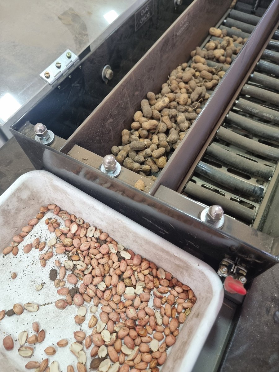 camilailla's tweet photo. Procesando muestras 🥜🥜 https://t.co/Gj3O6ulzxe