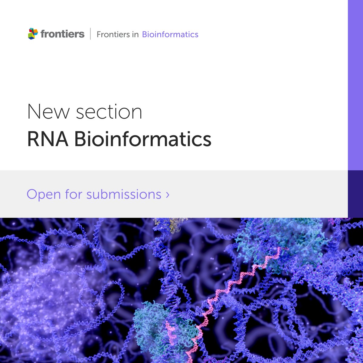 FrontBioinf's tweet photo. It's our pleasure to announce a new section, #RNA Bioinformatics, in Frontiers in Bioinformatics, led by Prof. Shuhui Song of the Beijing Institute of Genomics, Chinese Academy of Sciences.

This section is now open for submissions

Discover more: https://t.co/f1QZQiV3J5 https://t.co/hXgYWwmYfH