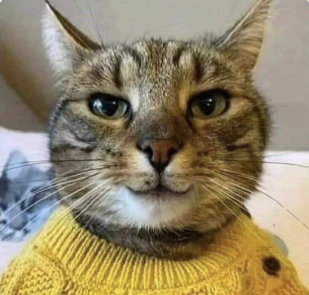 Mir wurde gerade ein Fax einer DM Gruppe zugespielt. unter anderem wurde dort Frau <a href="/MsAngerManager/">MsAngers is bored</a> aufs sog Glatt🧊 geführt. 

Bims sxhom Feierabend werde das morgen Kontrollieren.