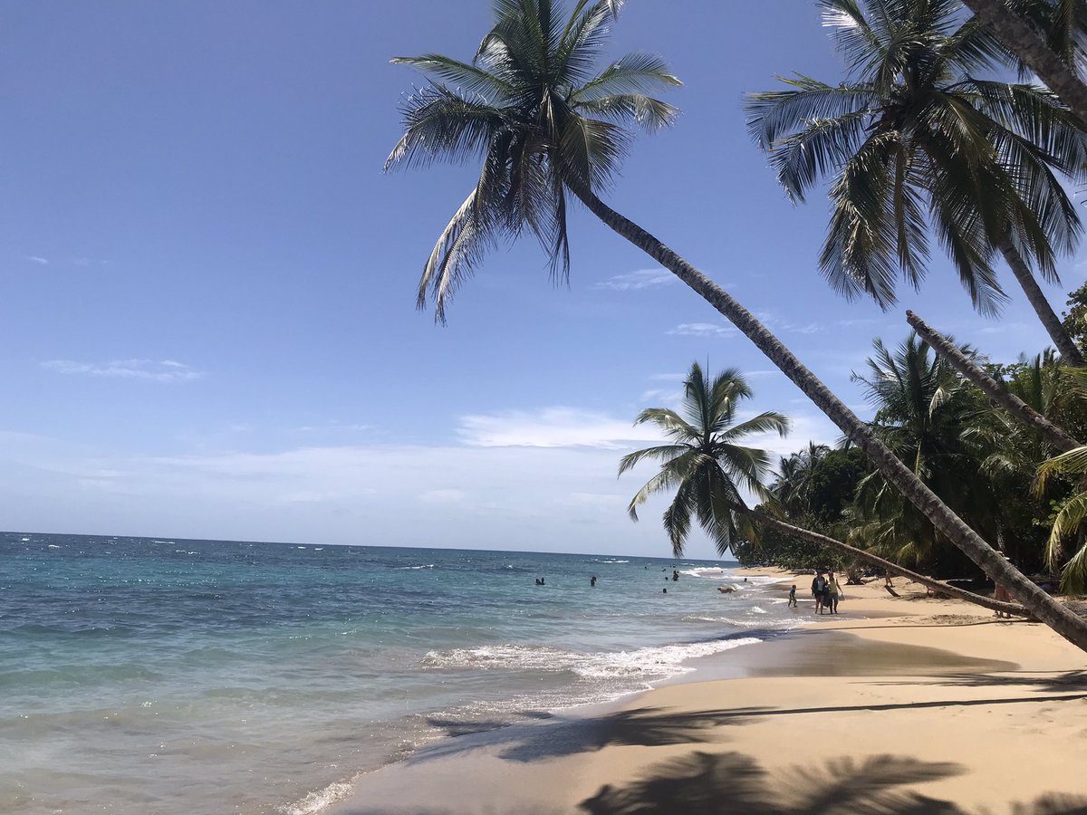 AdrianaMRuCR1's tweet photo. #PuntaUva Caribe sur @esencialCR https://t.co/HT3B4sTDy2